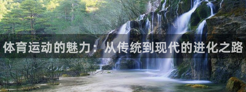 yy易游官方正版app集团简介：体育运动的魅力：从传统到现代