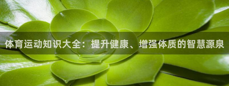 yy易游官网下载是干嘛的公司：体育运动知识大全：提升