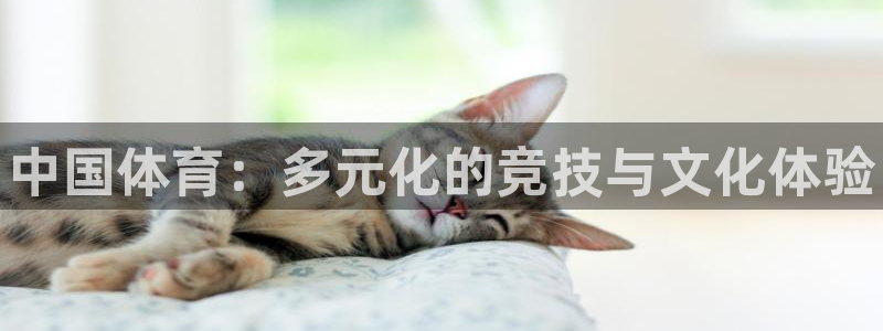 yy易游官方正版app集团官网网址：中国体育：多元化