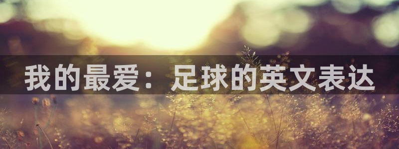 yy易游官方正版app娱乐首页网站大全：我的最爱：足球的英文
