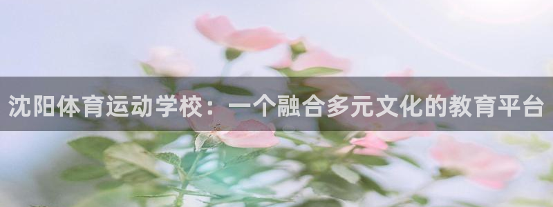 海南yy易游官网下载：沈阳体育运动学校：一个融合多元