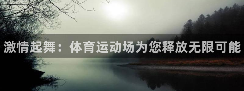 yy易游官方正版app娱乐：激情起舞：体育运动场为您