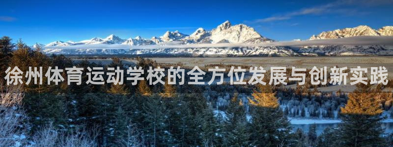 yy易游官方正版app集团：徐州体育运动学校的全方位发展与创