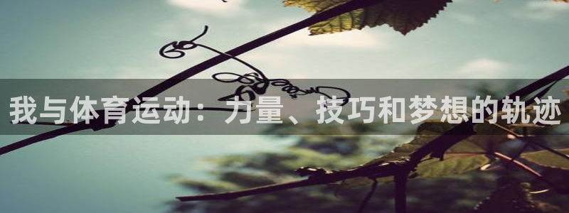 yy易游官网下载平台注册要钱吗是真的吗：我与体育运动