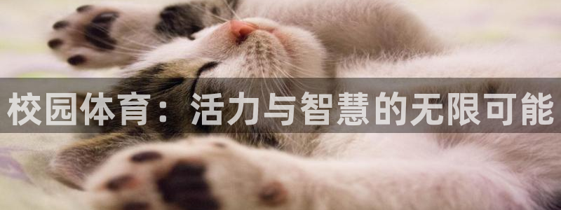 yy易游官网下载官方客服电话：校园体育：活力与智慧的