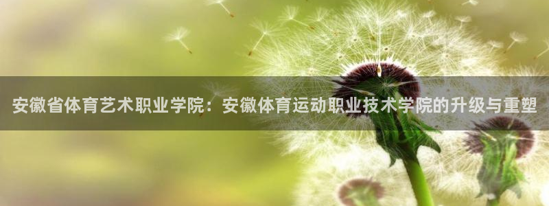 yy易游官网下载平台是正规平台吗：安徽省体育艺术职业学院：安