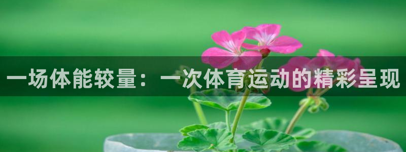 yy易游官网下载平台是正规平台吗：一场体能较量：一次