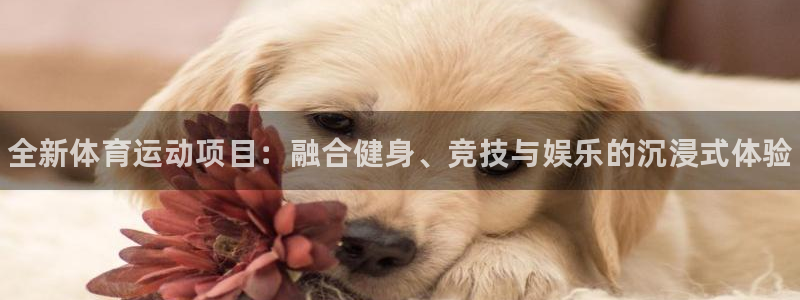 海南yy易游官网下载发展怎么样：全新体育运动项目：融