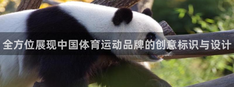 yy易游官方正版app集团简介：全方位展现中国体育运