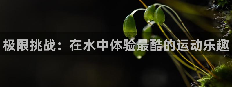 yy易游官方正版app娱乐首页官网下载：极限挑战：在