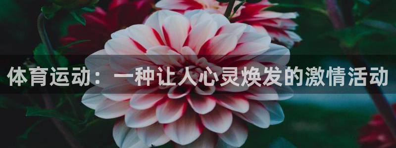 yy易游官网下载招商电话地址是多少：体育运动：一种让