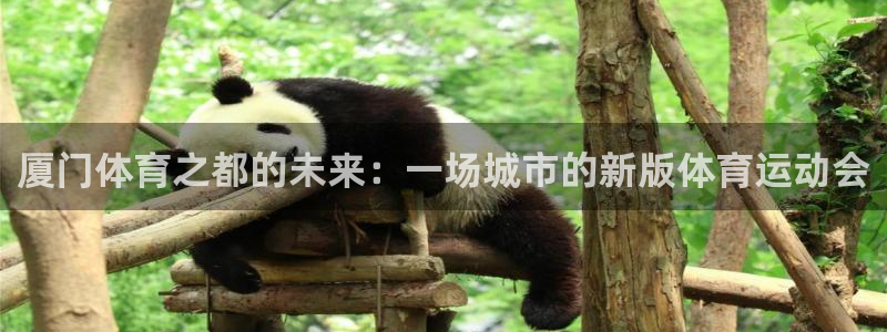 yy易游官方正版app五金厂：厦门体育之都的未来：一