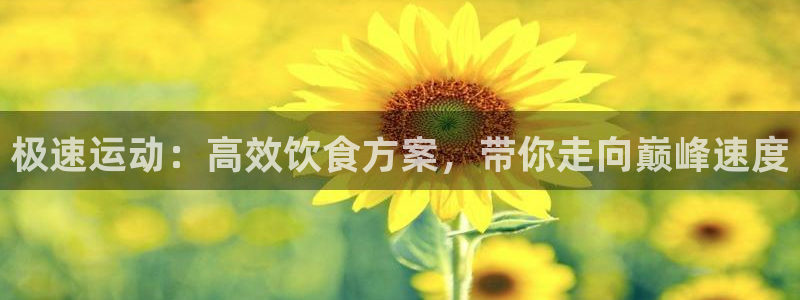 yy易游官网下载平台是正规平台吗：极速运动：高效饮食