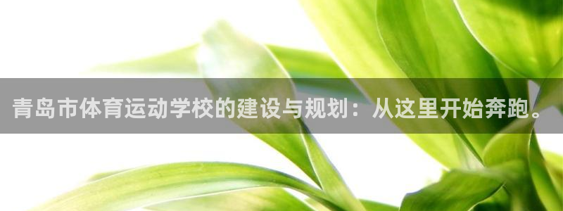 yy易游官网下载平台假的吗是真的吗：青岛市体育运动学