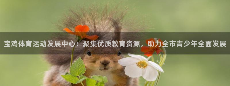 yy易游官方正版app娱乐下载：宝鸡体育运动发展中心：聚集优