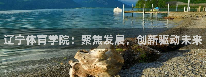 yy易游官方正版app娱乐代理怎么样：辽宁体育学院：聚焦发展