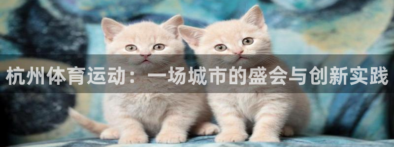 海南yy易游官网下载发展怎么样：杭州体育运动：一场城
