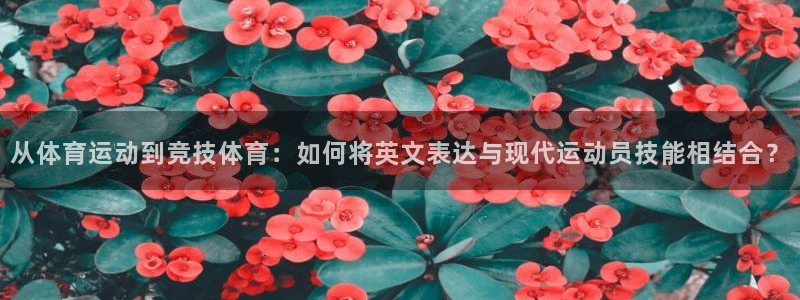 yy易游官网下载联系电话：从体育运动到竞技体育：如何将英文表