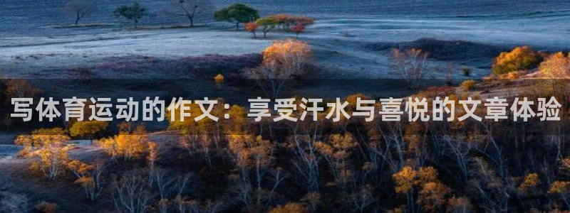 yy易游官网下载招商电话号码是多少啊：写体育运动的作