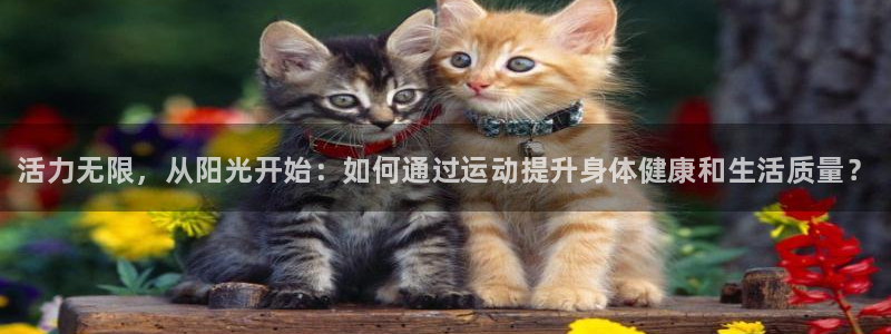 yy易游官方正版app集团官网网址：活力无限，从阳光