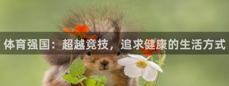 yy易游官方正版app开户：体育强国：超越竞技，追求