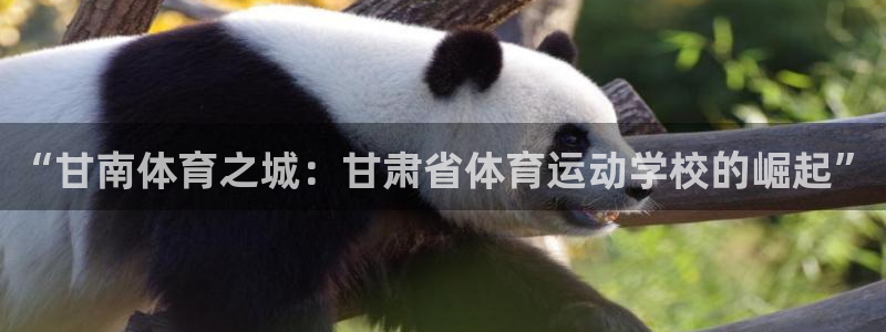 yy易游官网下载平台是正规平台吗：“甘南体育之城：甘肃省体育