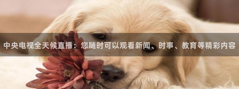 松鼠直播tv：中央电视全天候直播：您随时可以观看新闻、时事、教育等精彩内容