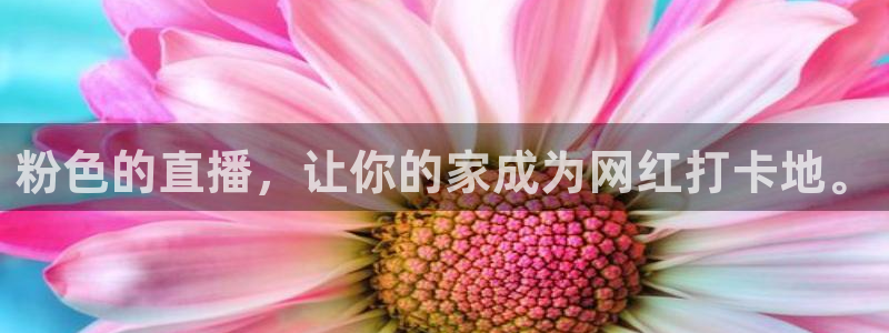 松鼠体育在线直播：粉色的直播，让你的家成为网红打卡地。