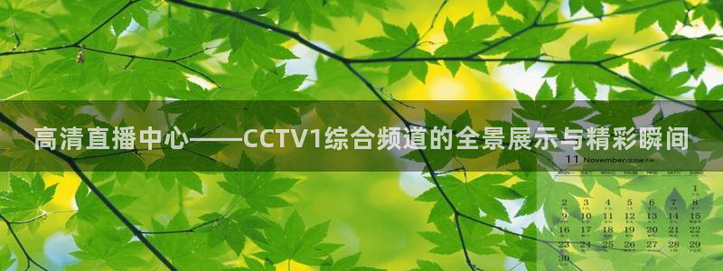 松鼠官方网站：高清直播中心——CCTV1综合频道的全景展示与精彩瞬间