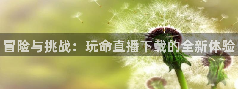 松鼠休闲游戏官网：冒险与挑战：玩命直播下载的全新体验